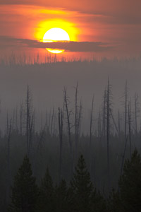 sun